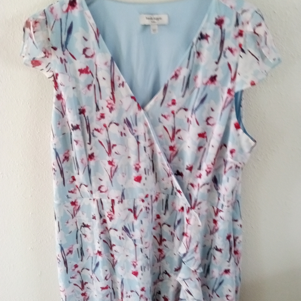 HAUTE HIPPIE Blue Sky Cherry Blossoms Ruffled Maxi Dress | XL - Picture 4 of 10